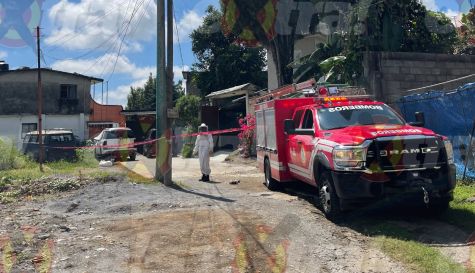 Pican abejas a personas en Santa María Ahuacatitlán