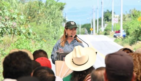Margarita González Saravia habla sobre seguridad