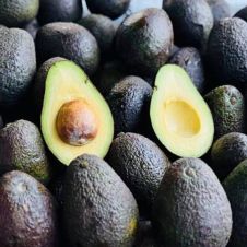 Apoyos a productores de aguacate y nopal en Morelos