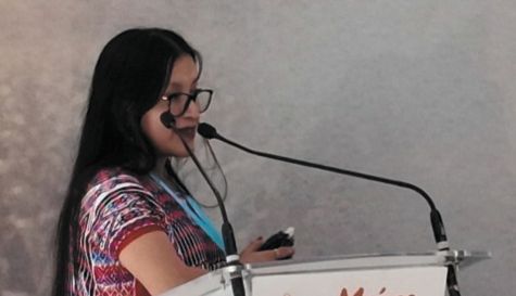 La entidad impulsará la conservación ambiental y la producción responsable a través de los programas sustentables de la ONU.