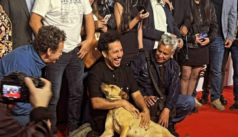 Perrito se cuela en la alfombra roja del Festival de Cine de Morelia y se vuelve viral