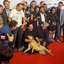 Perrito se cuela en la alfombra roja del Festival de Cine de Morelia y se vuelve viral