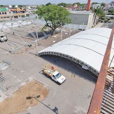 carpa.jpg