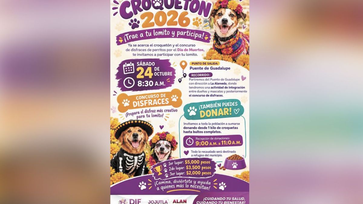CARTEL CARTEL