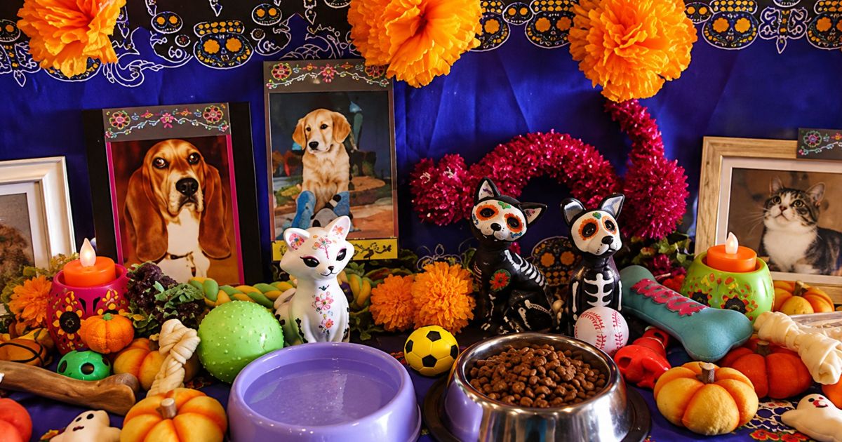 Ofrenda para mascotas en Día de Muertos 2026: se acostumbra el 27 de octubre