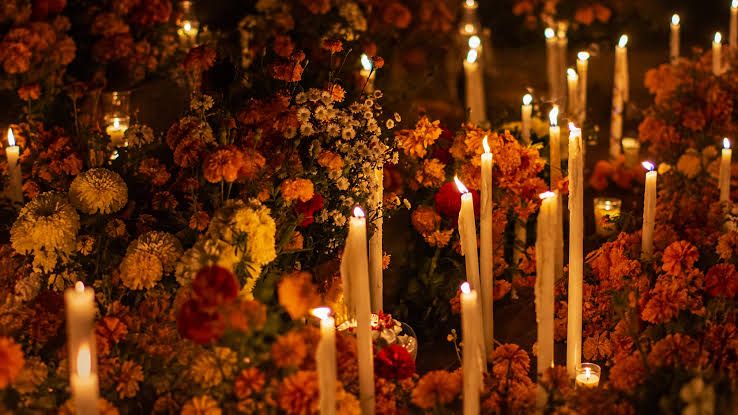 Flor de cempasúchil en Morelos