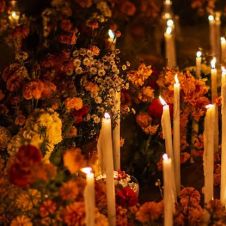 Flor de cempasúchil en Morelos