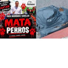 Acusan tortura y muerte de perros en Jiutepec