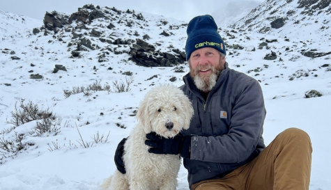 Rescatan a perrita tras sobrevivir 50 horas perdida en Alaska