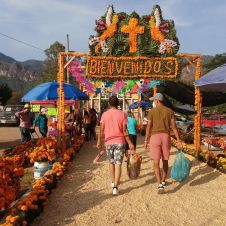 Prohibición de alcohol en Tepoztlán por Día de Muertos