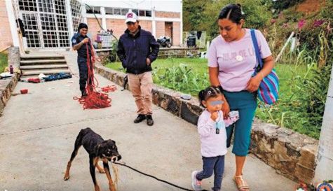 Protección Civil de Totolapan rescata a perro en el cerro de Santa Bárbara