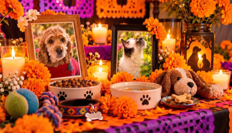 ¿Qué almas llegan el 27 de octubre? Ofrenda para mascotas