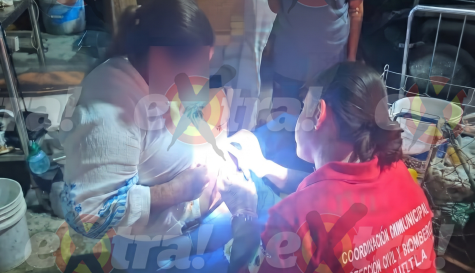 Paramédicos auxilian a abuelita tras ataque de perro en Jojutla