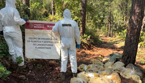 Marina desmantela dos laboratorios clandestinos de metanfetamina en Durango