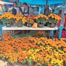 Tianguis de muertos en el mercado ALM