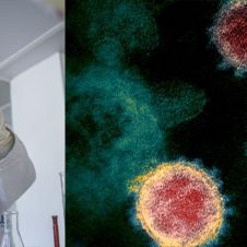 virus.jpg