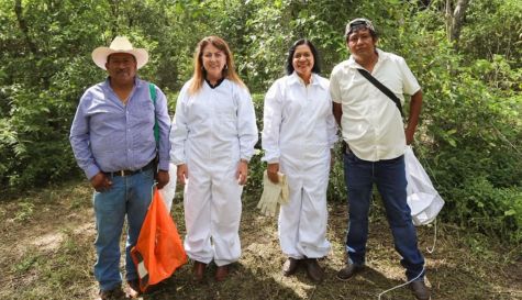 El consumo de miel producida en la entidad representa una oportunidad real para fortalecer la economía de las familias apícolas