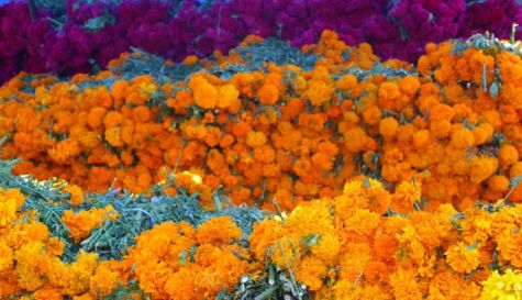 La inseguridad impacta directamente en la economía de las familias que compran flores para sus ofrendas