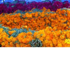 La inseguridad impacta directamente en la economía de las familias que compran flores para sus ofrendas