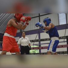 Liga de Campeones de Boxeo llega a la Unidad Deportiva Centenario