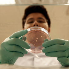 Cultivan cerebros humanos en laboratorio para avanzar en tecnología