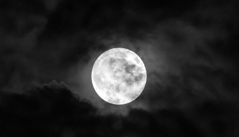 Fecha de la Luna del Castor y fenómenos astronómicos de noviembre