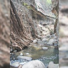 Planean recuperar imagen del Centro Histórico de Cuernavaca