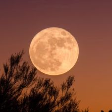 La luna de la cosecha: La última súper luna del año será visible pronto 