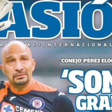conejoperez.jpg