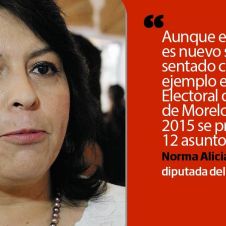 alicia-popoca-diputada.jpg