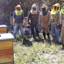 sedagro-productores-miel.jpg
