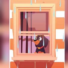perros-lluvia.jpg