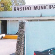 rastromunicipañ.jpg