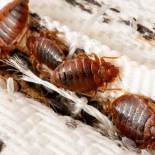 WhatsApp Image 2023-10-07 at 4.04.29 PM.jpeg