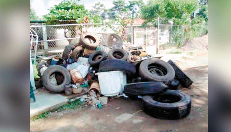 descacharrizar-dengue-muertes.jpg