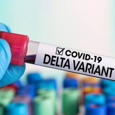 deltacoronavirus.jpg