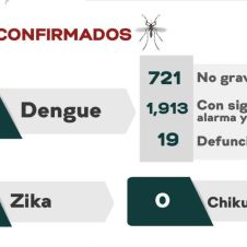 dengue ok.jpg
