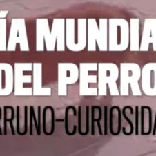 dia-mundial-perro-210721.jpg
