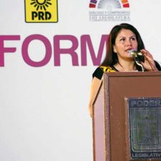 informe-hortencia-figueroa.jpg