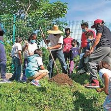 reforestan-rio-cuautla-250721.jpg