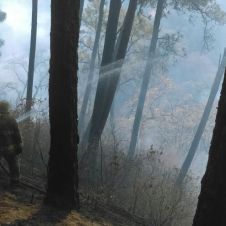 incendios en morelos diario de morelos.jpg