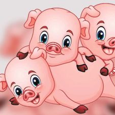 cochinitos-150820.jpg