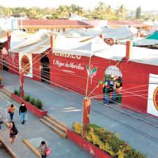 tianguis-tem-4.jpg