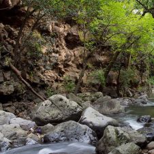 barrancas cuernavaca.jpg