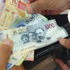 WhatsApp Image 2023-12-13 at 2.23.52 PM.jpeg