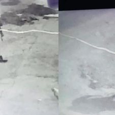 empistolado el polvorin.jpg