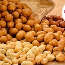 WhatsApp Image 2023-12-20 at 6.30.32 PM.jpeg