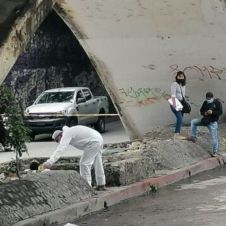 puente del dragon.jpg