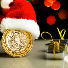 WhatsApp Image 2023-12-25 at 11.52.58 AM.jpeg