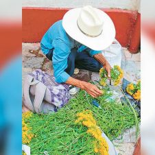 Listas las cruces de flor de pericón en Cuernavaca